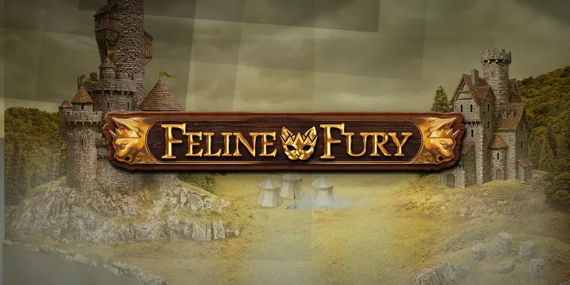 Feline Fury